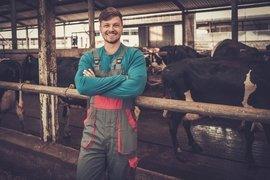 Insecten bestrijden professioneel gebruik