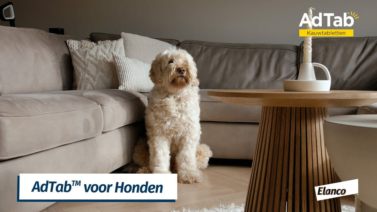 Elanco AdTab kauwtabletten hond (1,3 - 2,5 kg)
