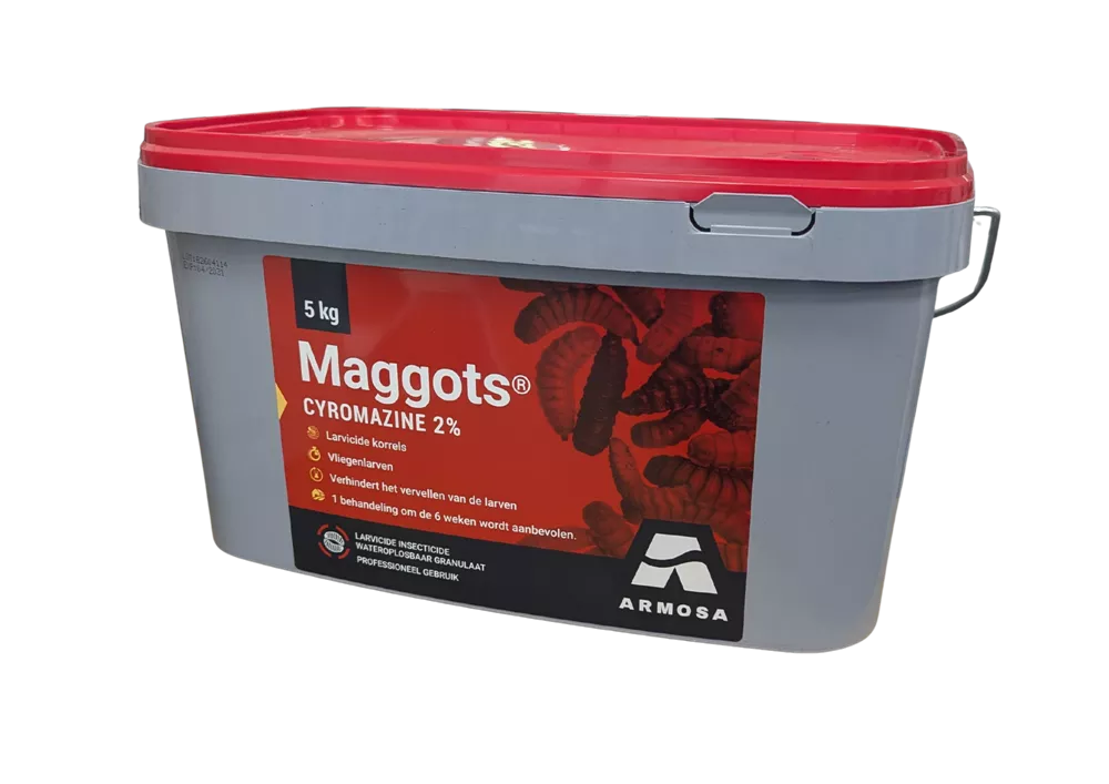 Maggots NL