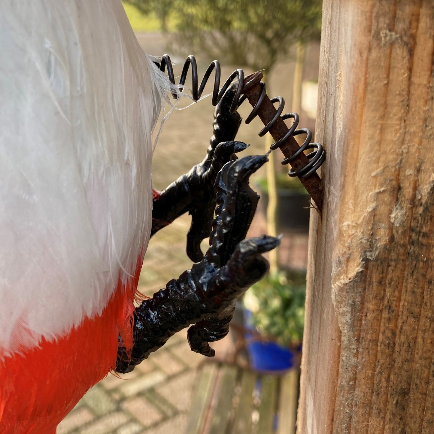 Grote Bonte Specht lokvogel met echte veren, 43 cm – productfoto 2