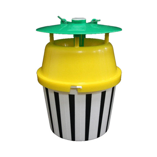 Black Stripe Mottenval (excl. lures)