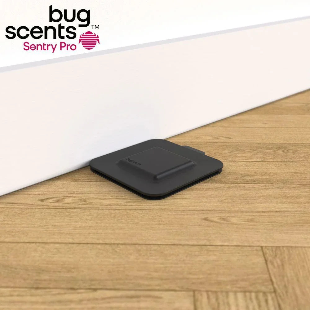 Bugscents Sentry Pro Glue Board (12)