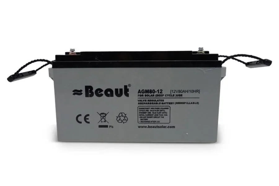 Accu Semietractie 12 V 75 Ah AGM - Dierplagenshop