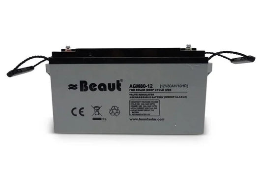 Accu Semietractie 12 V 75 Ah AGM - Dierplagenshop