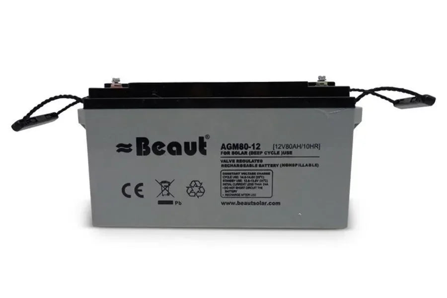 Accu Semietractie 12 V 75 Ah AGM - Dierplagenshop