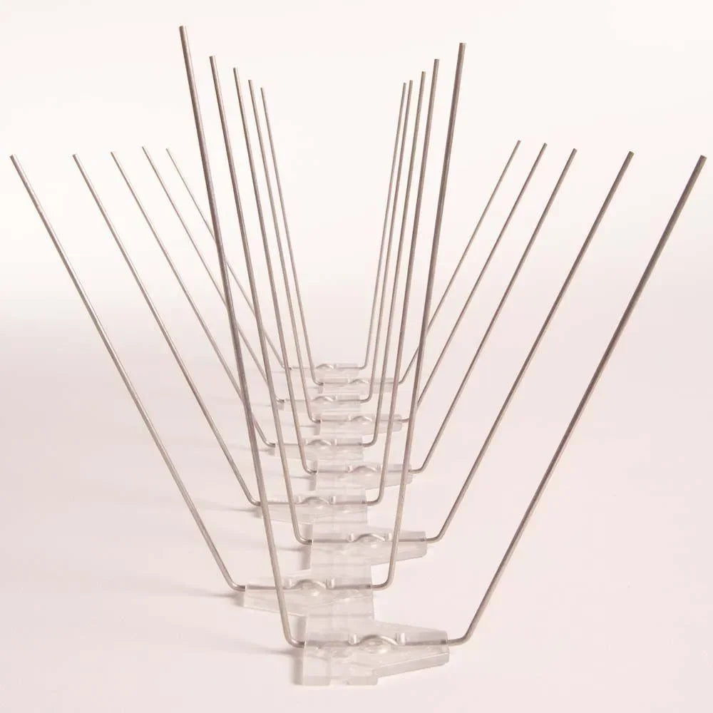 Avipoint Weringspinnen Duif P20 - Dierplagenshop