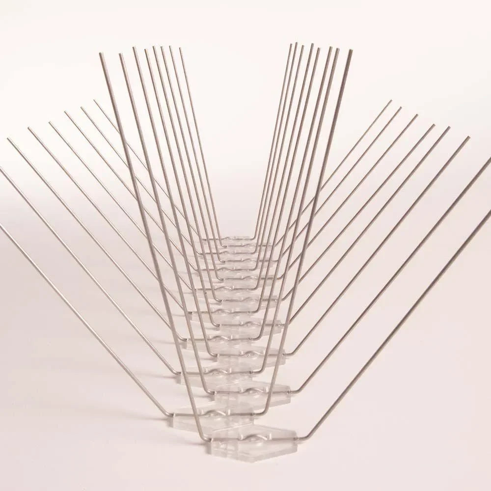 Avipoint Weringspinnen Duif P32 - Dierplagenshop