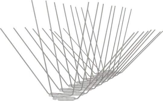 Avipoint Weringspinnen Duif P32 - Dierplagenshop