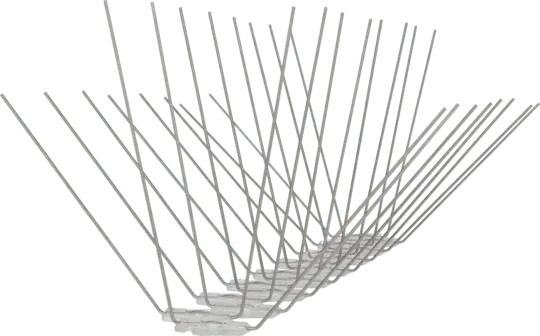 Avipoint Weringspinnen Duif P32 - Dierplagenshop