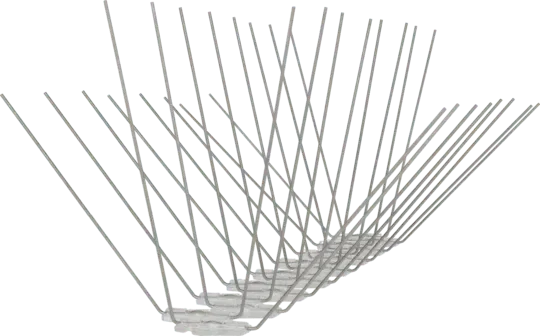 Avipoint Weringspinnen Duif P32 - Dierplagenshop