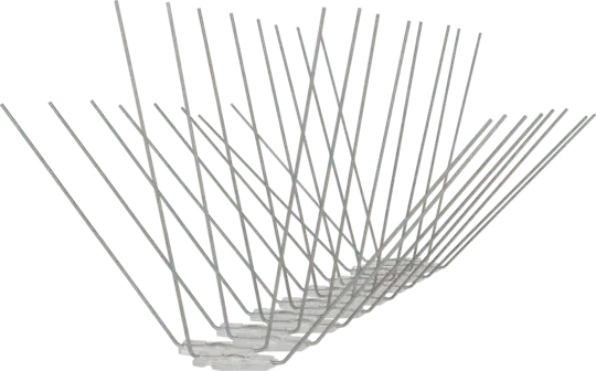 Avipoint Weringspinnen Duif P32 - Dierplagenshop
