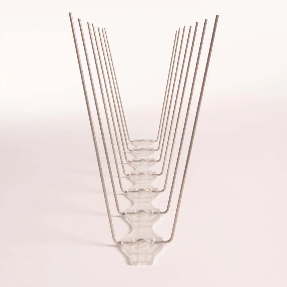 Avipoint Weringspinnen Duif P14 - Dierplagenshop