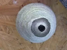 Bestrijding wespennest op locatie met 💯% garantie - Dierplagenshop