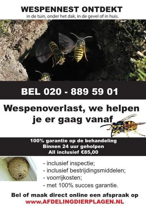 Bestrijding wespennest op locatie met 💯% garantie - Dierplagenshop