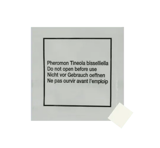 Biolock Kleermotval Feromoon - Dierplagenshop