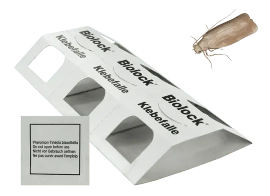 Biolock Kleermotval Feromoon - Dierplagenshop