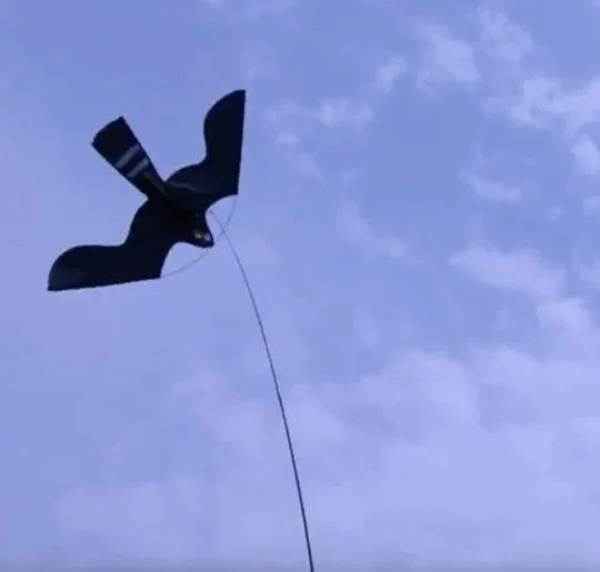 Birdshield Set - Dierplagenshop