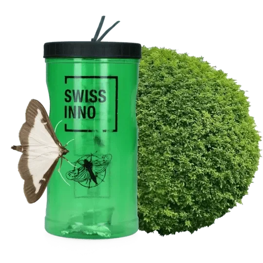 Buxusmotval incl. Lokstof - Dierplagenshop