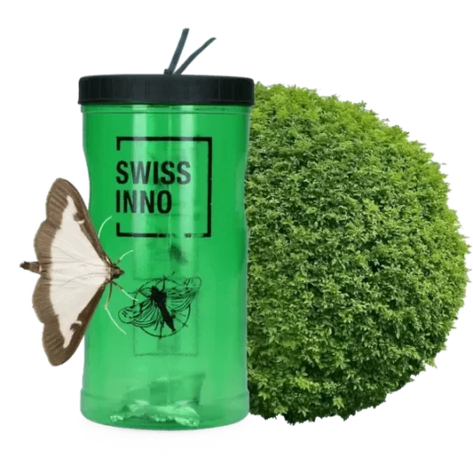 Buxusmotval incl. Lokstof - Dierplagenshop