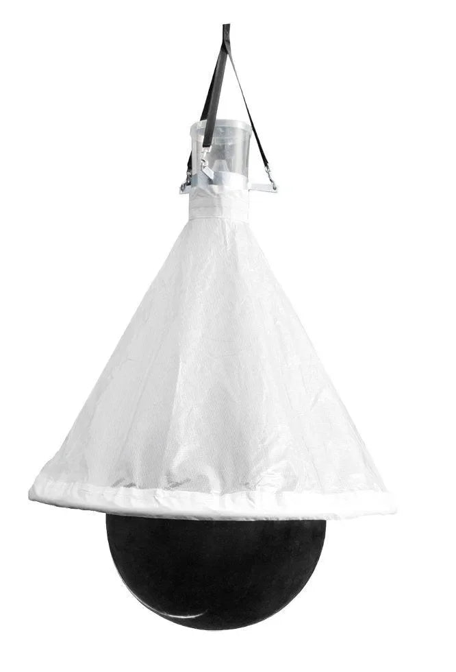 TaonX Dazen- /Wespenval Mini - Dierplagenshop