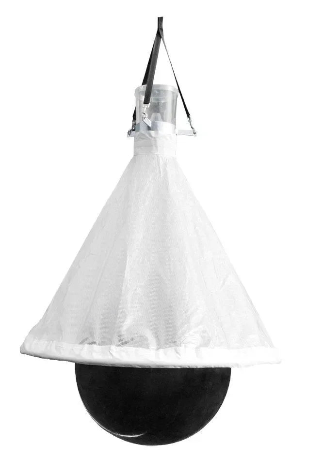 TaonX Dazen- /Wespenval Mini - Dierplagenshop