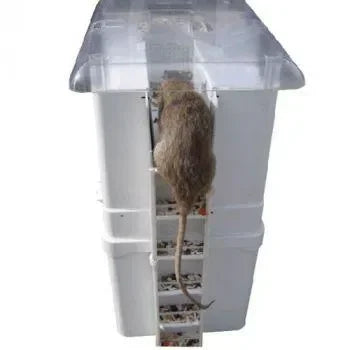 EKO1000 Vangunit + Beschermkap Aluminium - Dierplagenshop