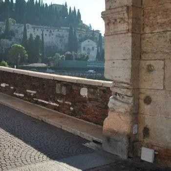 EVO Circuit Grijs (Baitbox van BELL) - Dierplagenshop