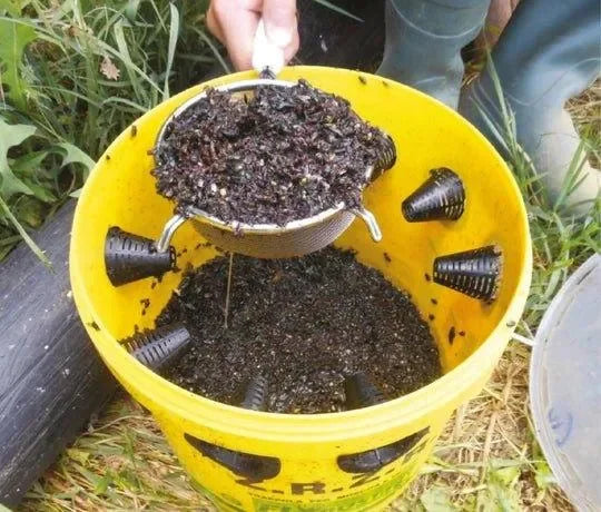 Flybuster Trap - Dierplagenshop