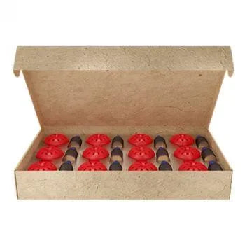 Fruitvliegjesval Appel (12 stuks) - Dierplagenshop