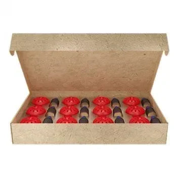 Fruitvliegjesval Appel (12 stuks) - Dierplagenshop