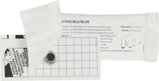 Geo Lijmplaat Kleermot - Dierplagenshop