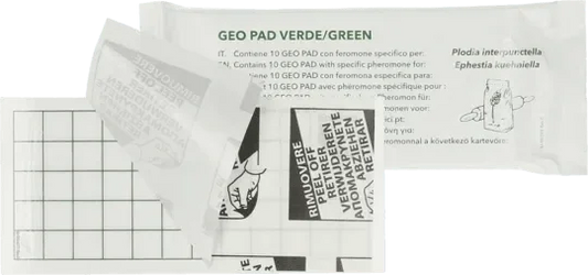 Geo Lijmplaat Levensmiddelenmot - Dierplagenshop