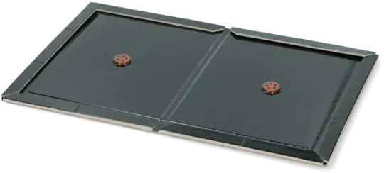 Insecten Lijmplaat Zwart - Dierplagenshop