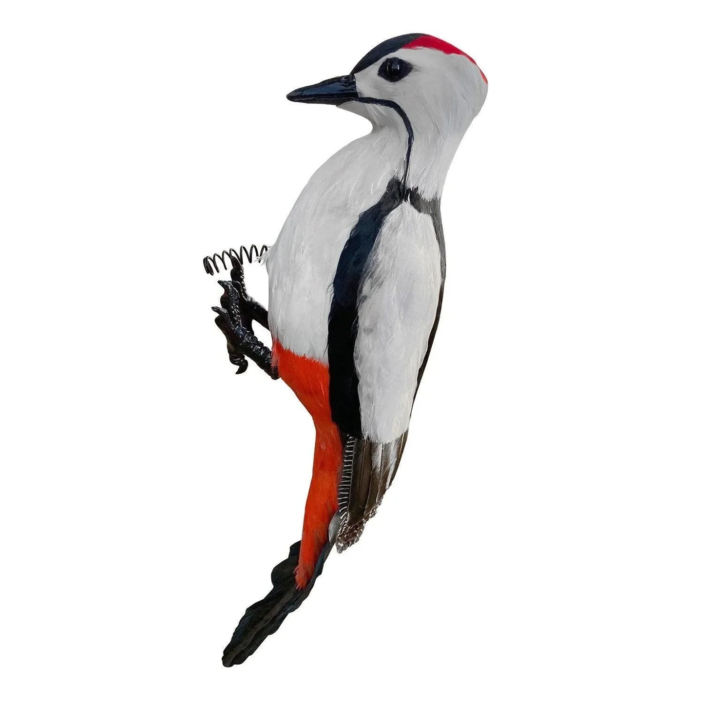 Grote Bonte Specht met echte veren 43 cm - Dierplagenshop