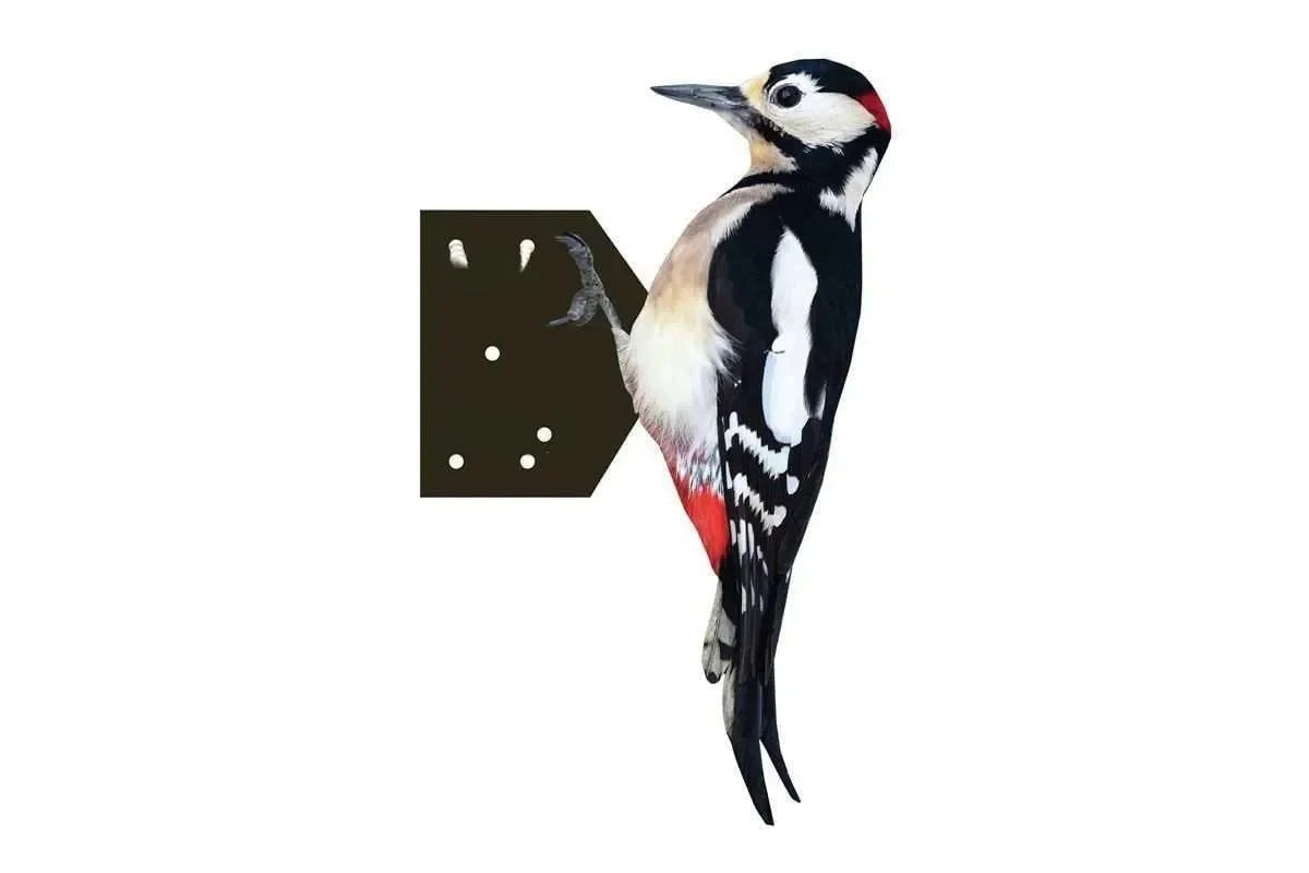 Grote Bonte Specht 28 cm - Dierplagenshop