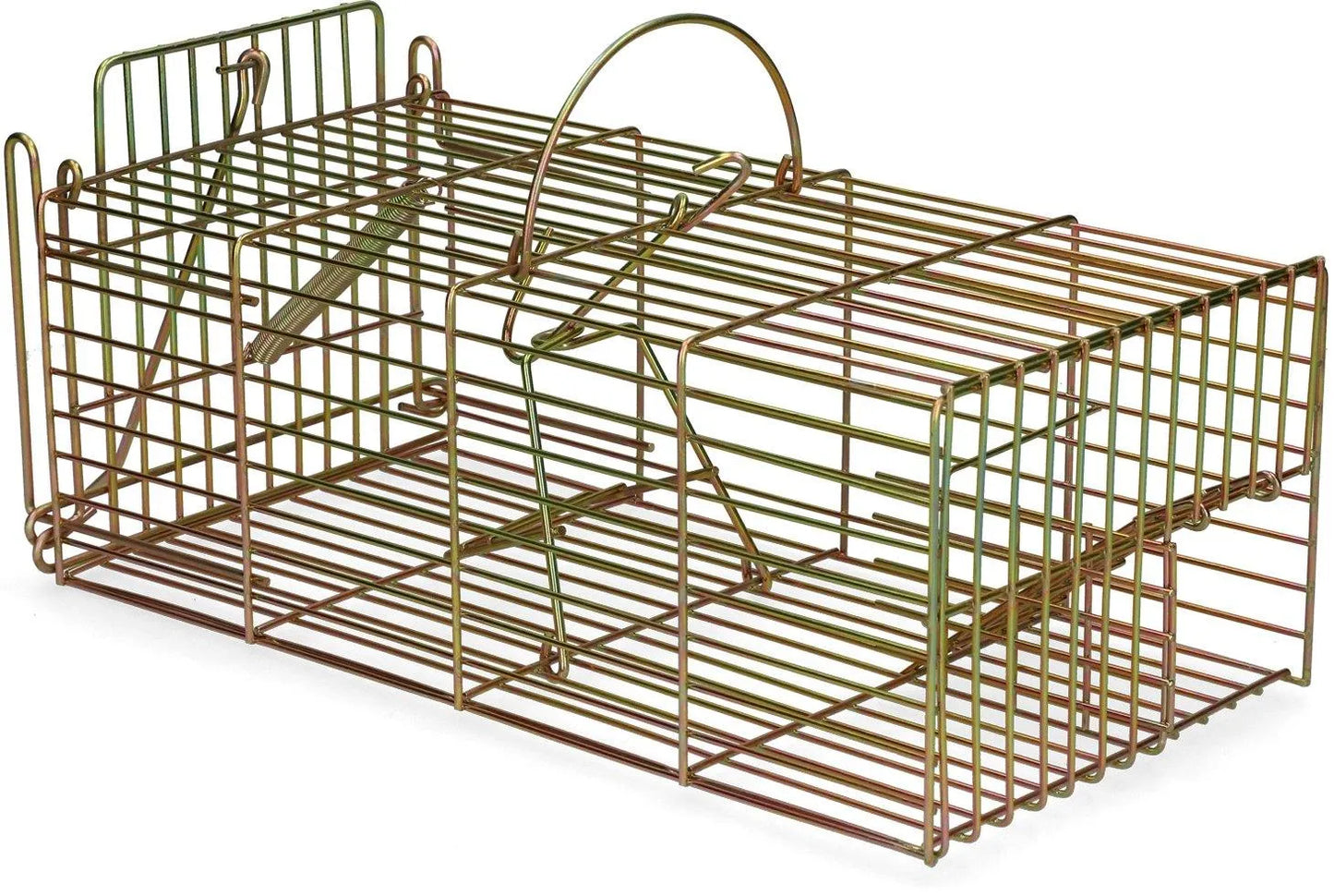 Inloopval rat levend massa - Dierplagenshop