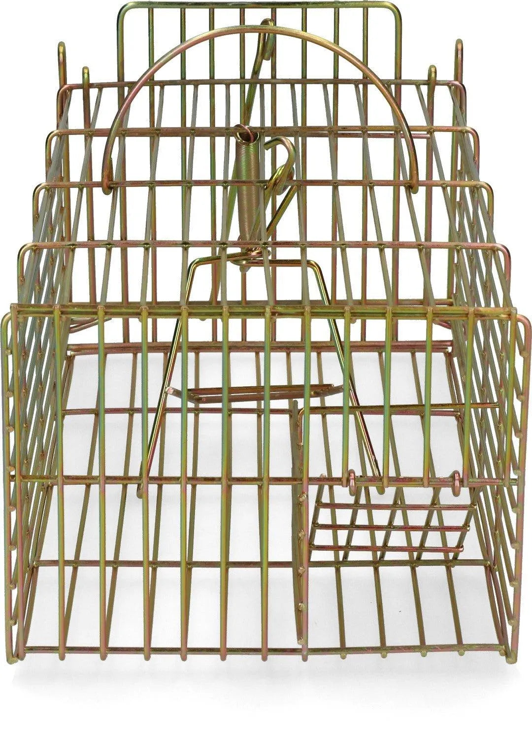 Inloopval rat levend massa - Dierplagenshop