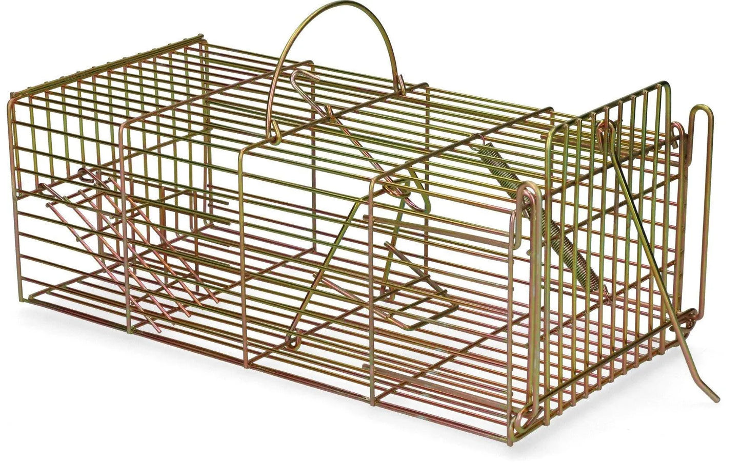 Inloopval rat levend massa - Dierplagenshop