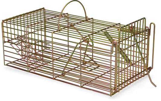 Inloopval rat levend massa - Dierplagenshop