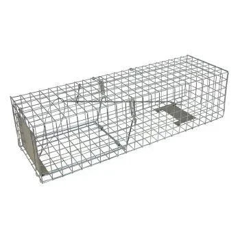 KC71 Catch Trap - Dierplagenshop