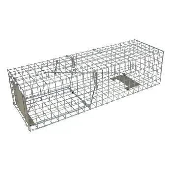 KC71 Catch Trap - Dierplagenshop