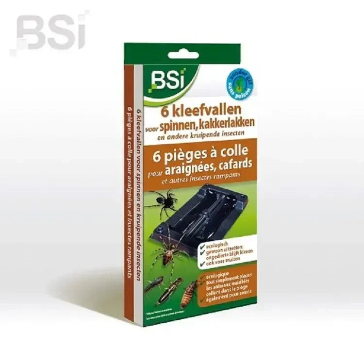 Kleefvallen tegen spinnen 6st. - Dierplagenshop