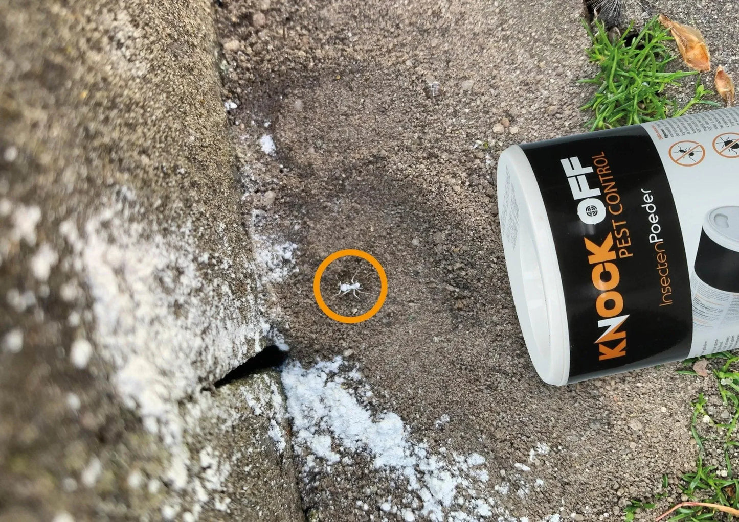 Knock Pest Insectenpoeder 500 g - Dierplagenshop