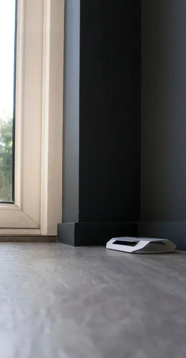 Knock Pest Insectenval Groot - Dierplagenshop