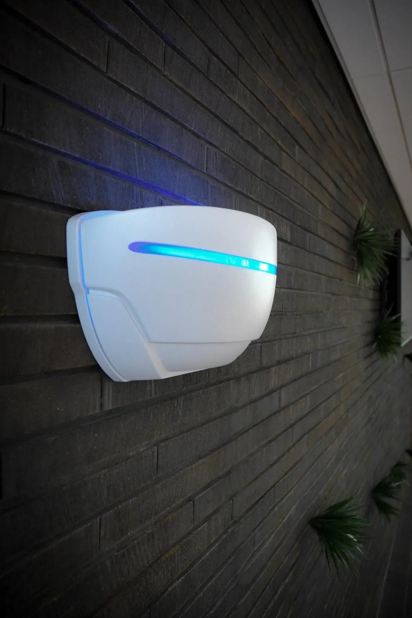 Knock Off InsectKiller UpLight - Dierplagenshop