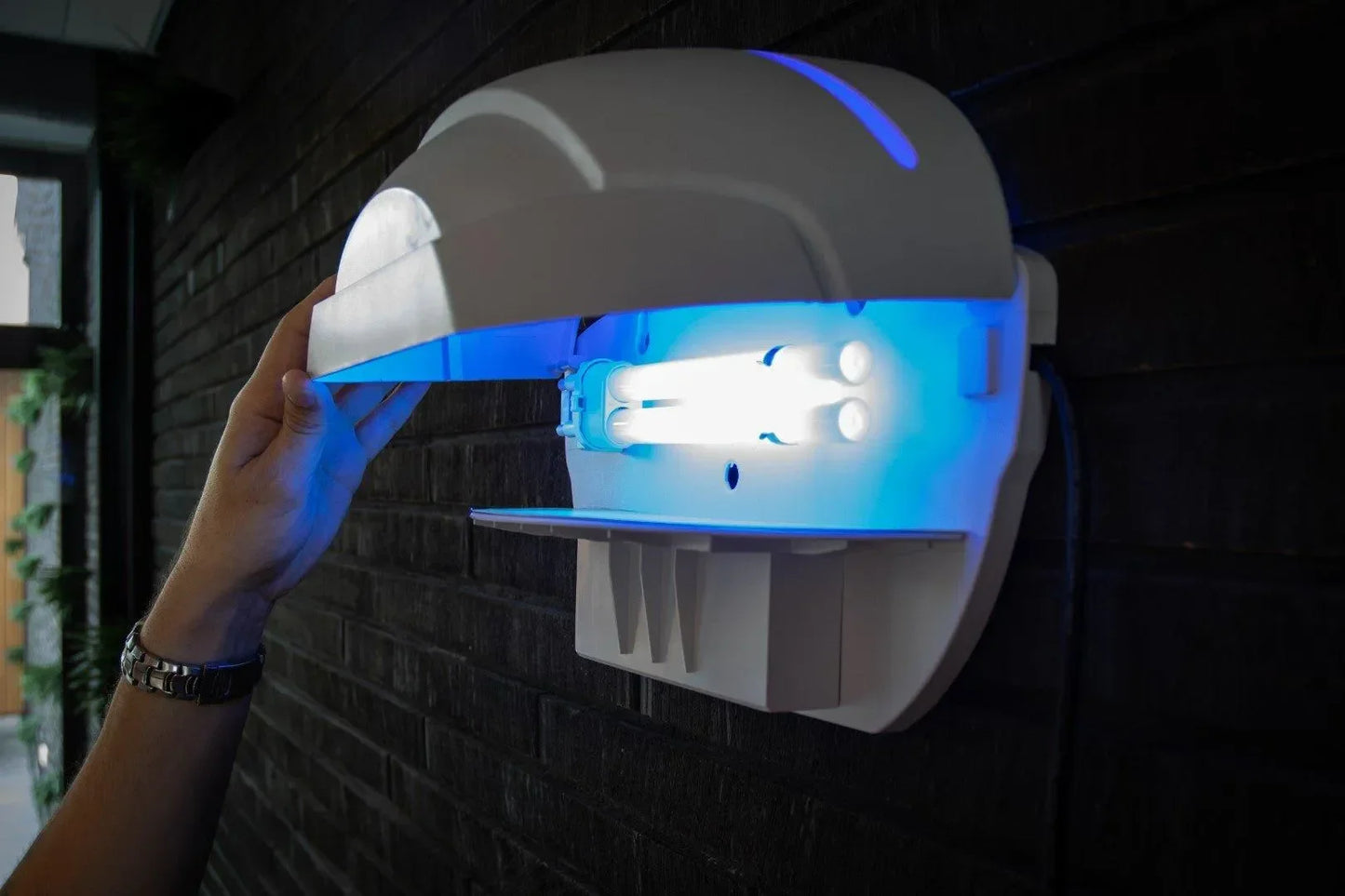 Knock Off InsectKiller UpLight - Dierplagenshop