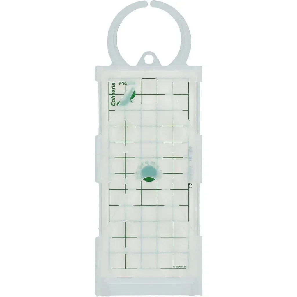 Knock Off Levensmiddelenmottenval - Dierplagenshop