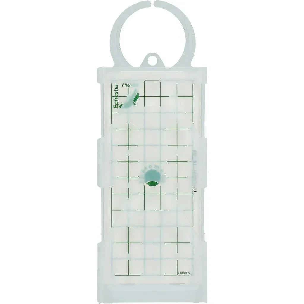 Knock Off Levensmiddelenmottenval - Dierplagenshop