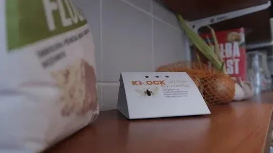 Knock Pest Levensmiddelenmottenval Delta - Dierplagenshop