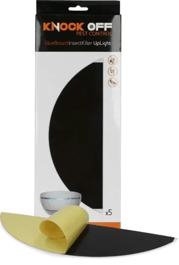 Resoluut Uplight Lijmplaat (10 stuks) - Dierplagenshop